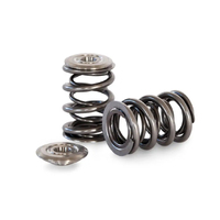 KELFORD DUAL VALVE SPRINGS TO SUIT SUBARU FA20F