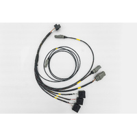 Powertune uC-10 Plug In Loom – Nissan Skyline R32 GT-R – Braided Sleeve